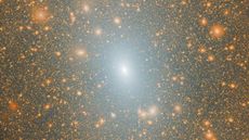 The Milky Way and it's satellite galaxies, according to the Acquarius-A-L1 simulation.