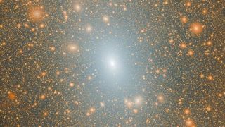 The Milky Way and it's satellite galaxies, according to the Acquarius-A-L1 simulation.