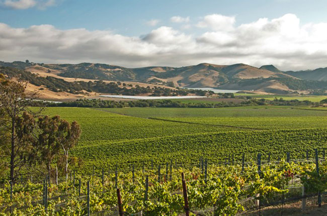 central coast road trip