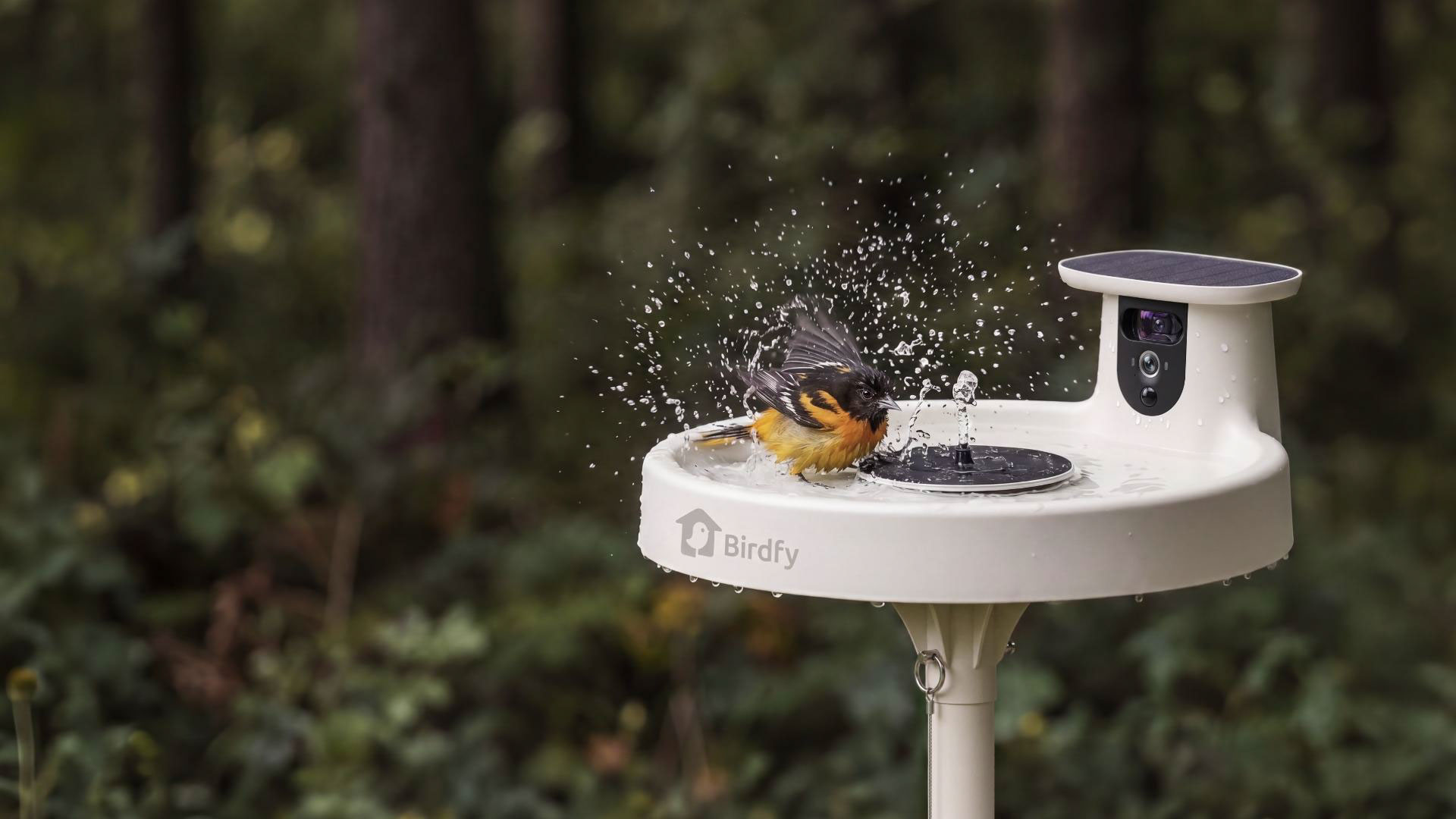 Birdfy smart birding devices