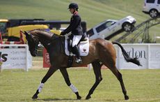 Kauto-Star-Laura-Collett2.jpg