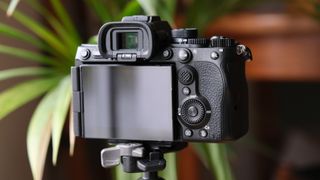 Sony A7 V camera from behind, on a tripod