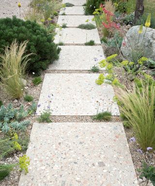 paved stepping stones with gravel and drought-tolerant plants
