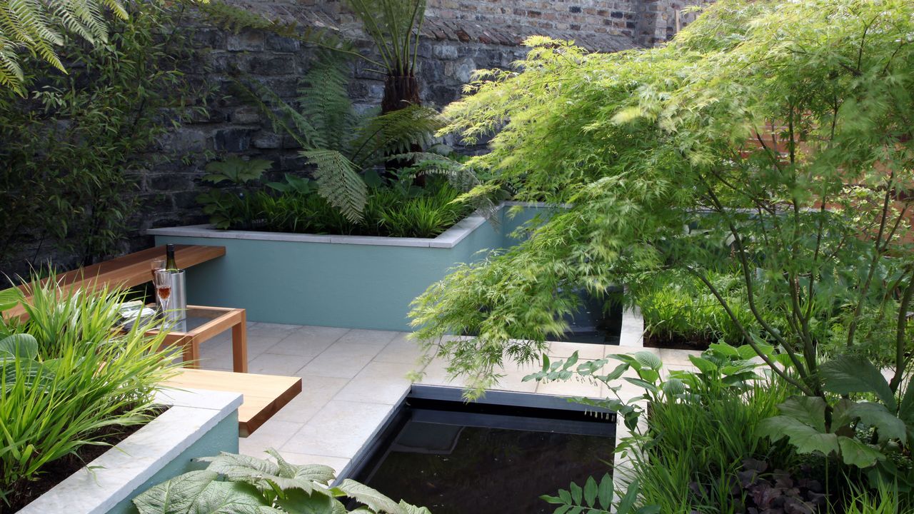 raised beds in a small patio garden, Bloom 2010