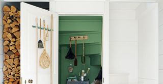 White room with door open to understairs cleaning cupboard painted in green to show dusting essentials to highlight how to bring positive energy into your home