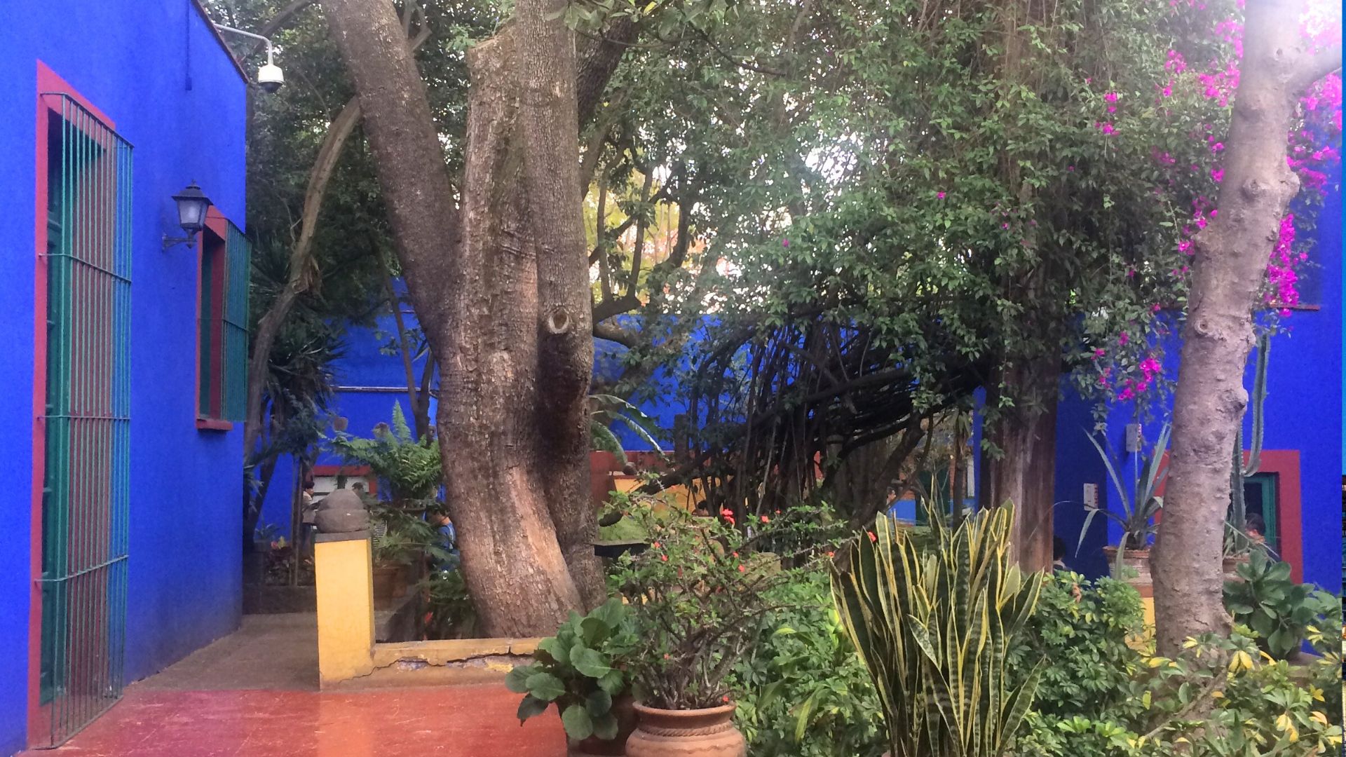 La Casa Azul, Mexico City, Mexico