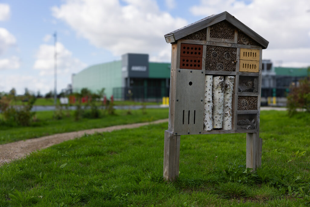 A wooden insect hotel on a lawn beside a gravel path at Microsoft&amp;rsquo;s data center site near Middenmeer, Netherlands