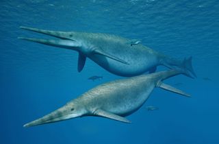 giant ichthyosaur illustration
