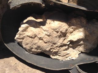 In the necropolis of Saqqara, Egypt, researchers discovered a broken jar containing what appeared to be a hunk of 3,300-year-old cheese — possibly the oldest known cheese in the world.