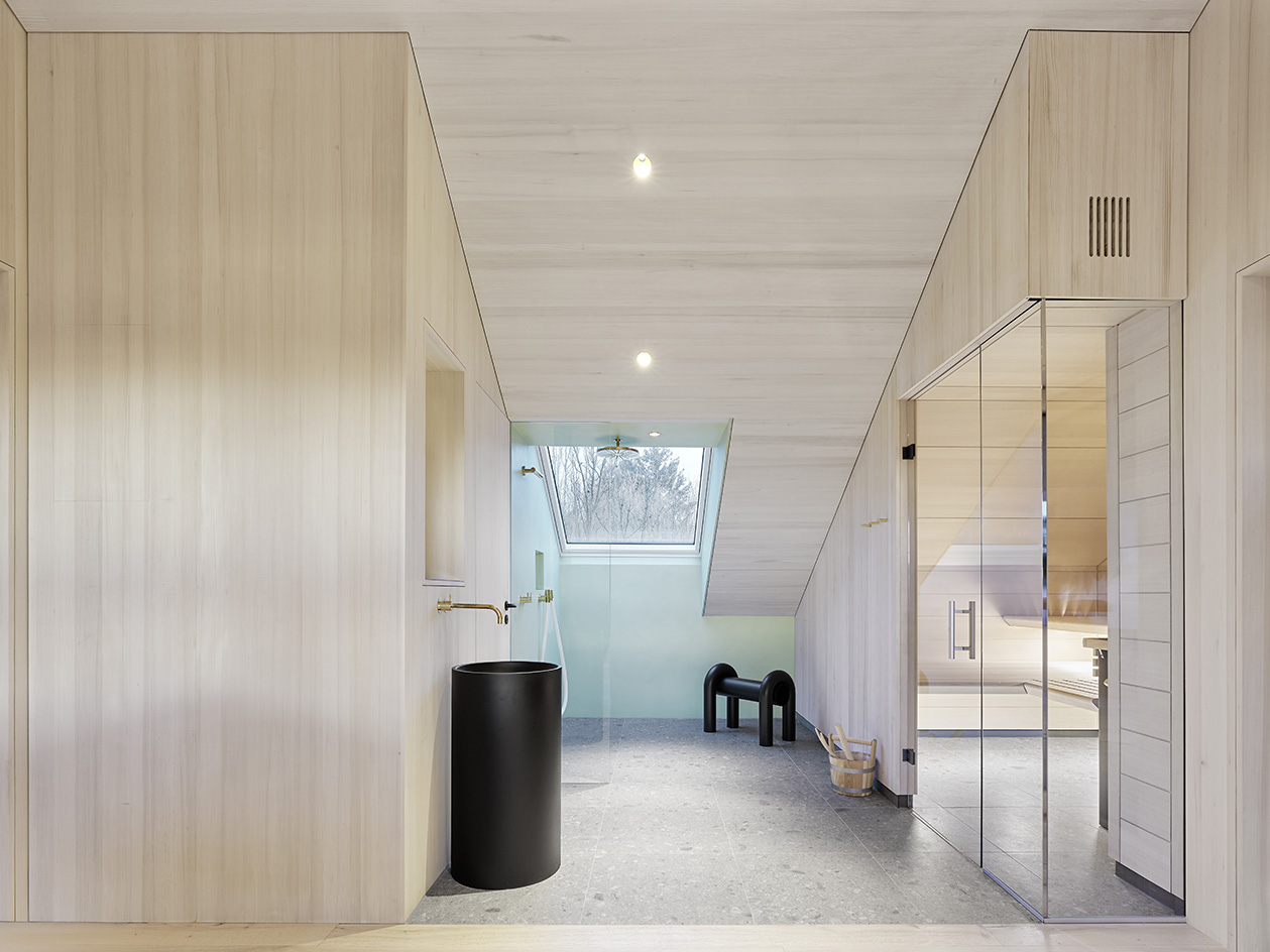 House in Process by SOMAA, Germany