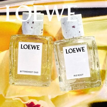 loewe ibttersweet oud iris root and roasted vanilla fragrance bottles on a yellow background