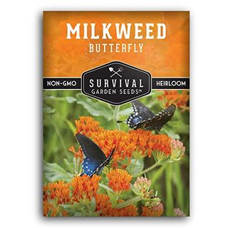 Butterfly Milkweed Seeds for Planting - Pack With Instructions to Grow Asclepias Tuberosa - Attract Butterflies & Help Conservation - Non-Gmo Heirloom Open-Pollinated - Survival Garden Seeds