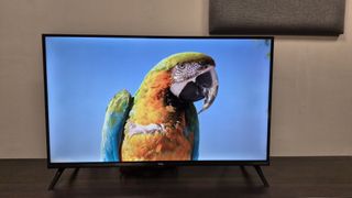 Parrot image on the TCL 32S5400