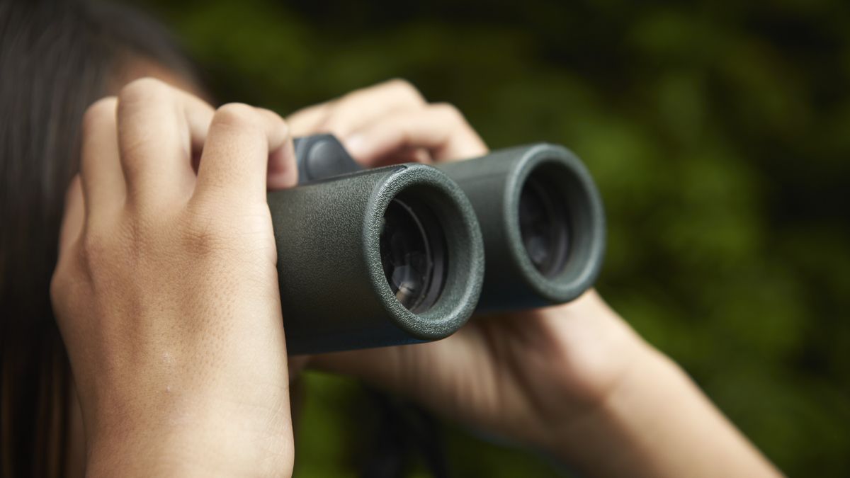 Person&#039;s hands holding binoculars