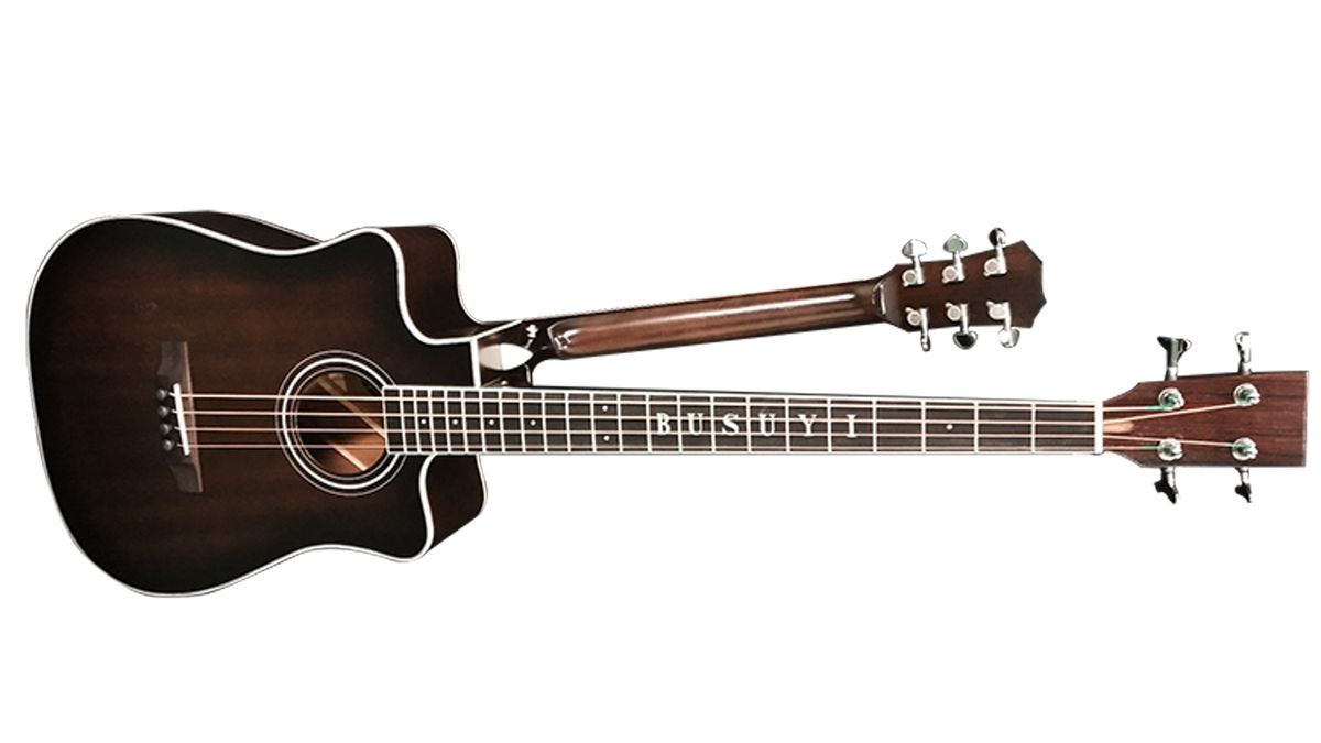 Walmart Busuyi double-neck guitar