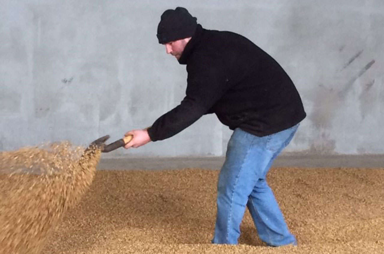 The malting floor at Echlinville Distillery