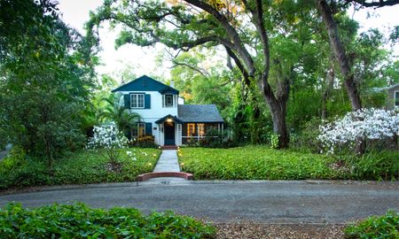 Saint Petersburg, Florida, Driftwood Neighborhood