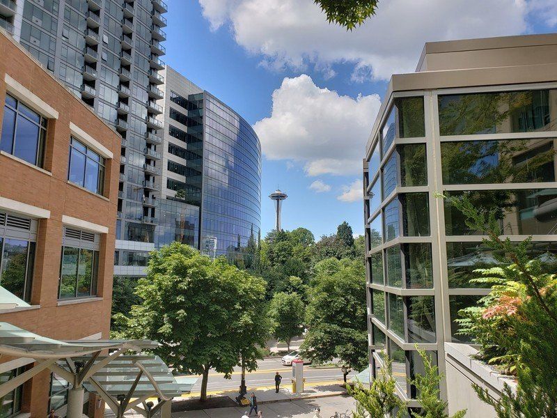 Galaxy S9 daylight camera sample