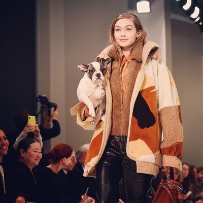 Dogs on Tod's Fall 2018 Runway - Gigi Hadid Carries French Bulldog at ...