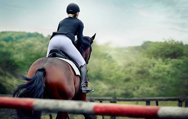 Dublin Distinction Edge Gel Full Seat Breeches