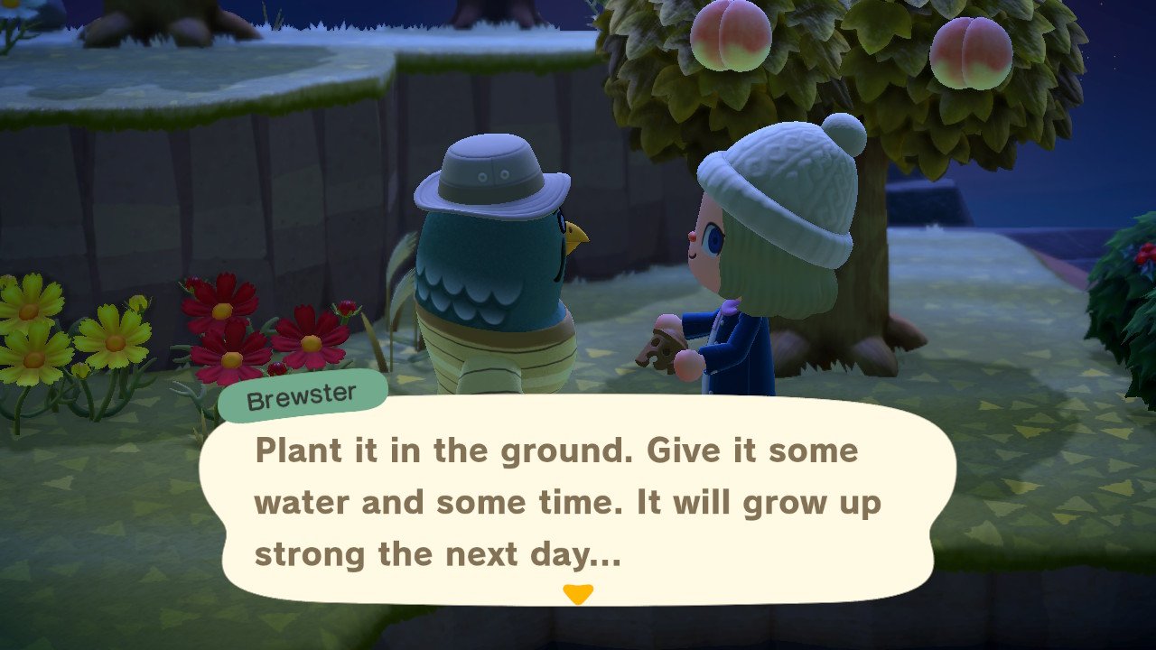 Animal Crossing New Horizons Brewster Instructions