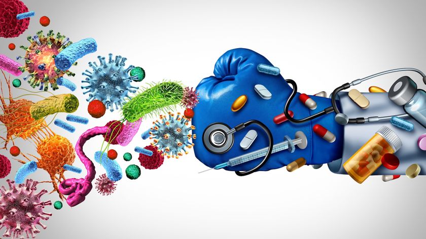 An illustration showing germs on one side and a fist with medical supplies punching them.