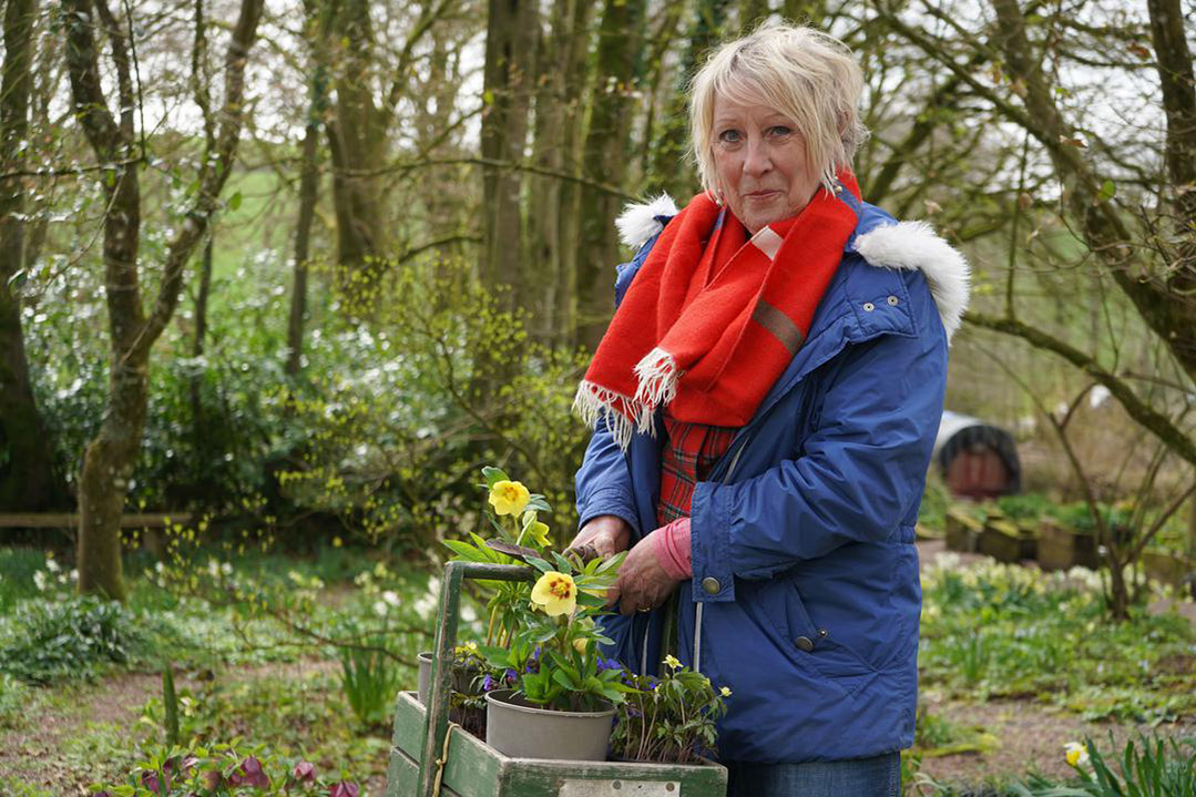 Time for planting in Spring Gardening with Carol Klein.