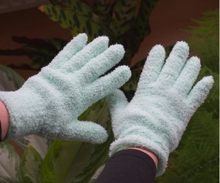 Houseplant dusting gloves