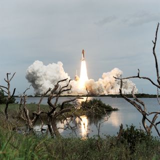 Marsh driftwood and Florida shrubbery frame the liftoff phase of the Space Shuttle Endeavour as it begins the STS-69 mission. Liftoff from Launch Pad 39A occurred at 11:09:00:52 a.m. (EDT), September 7, 1995.