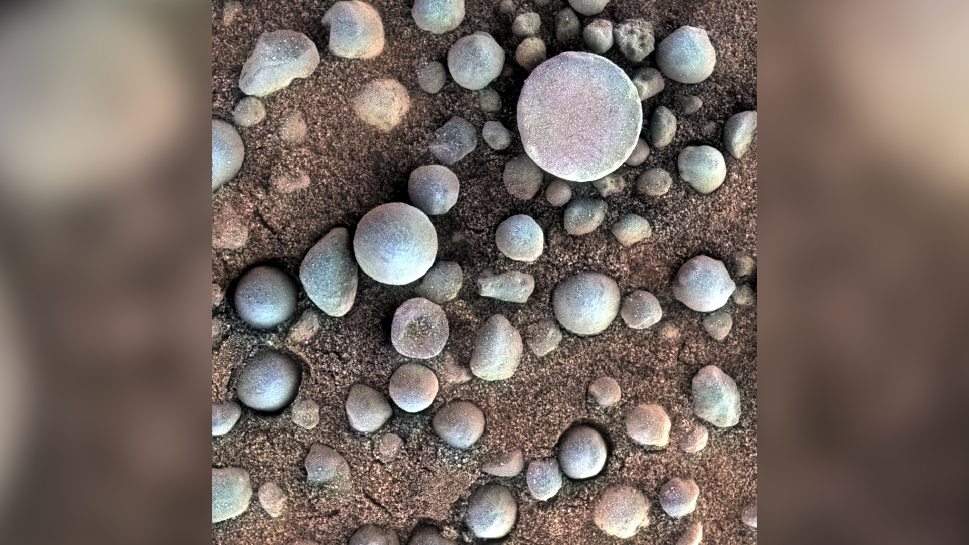 Spherical blue/gray rocks on the surface of Mars.
