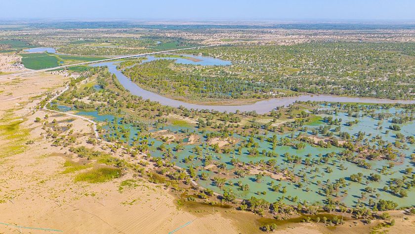 View of the Tarim River at the edge of China's Taklamakan Desert. We see waterways and vegetation on the river banks.