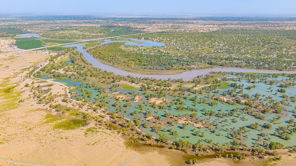 View of the Tarim River at the edge of China's Taklamakan Desert. We see waterways and vegetation on the river banks.