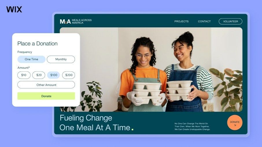 Wix donations screenshot
