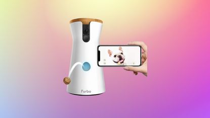 Amazon Prime Day: Furbo Dog Camera