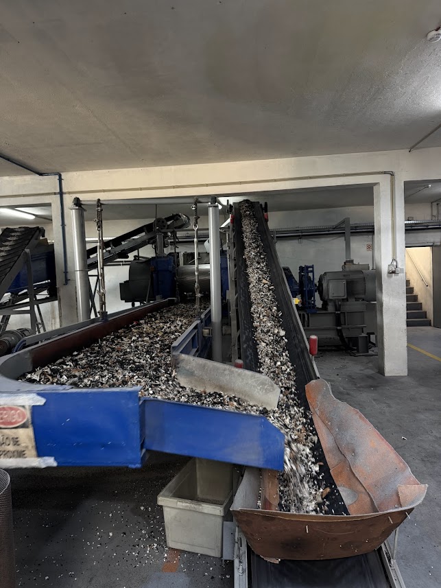 Behind the scenes at a Portuguese footwear factory.