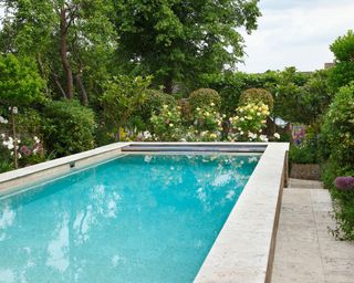An above ground swimming pool with a narrow patio and foliage