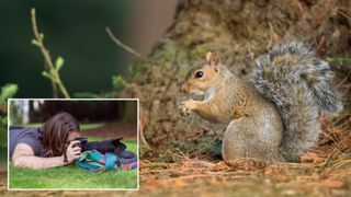 Photo ideas: Take superb squirrel shots 