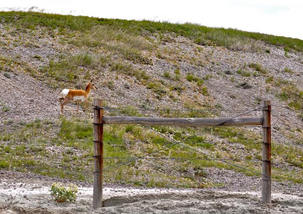 white-river-14-111006-02