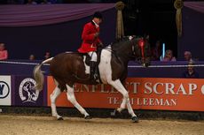 HorseNo1462_HOYS_PN17_105706.jpg