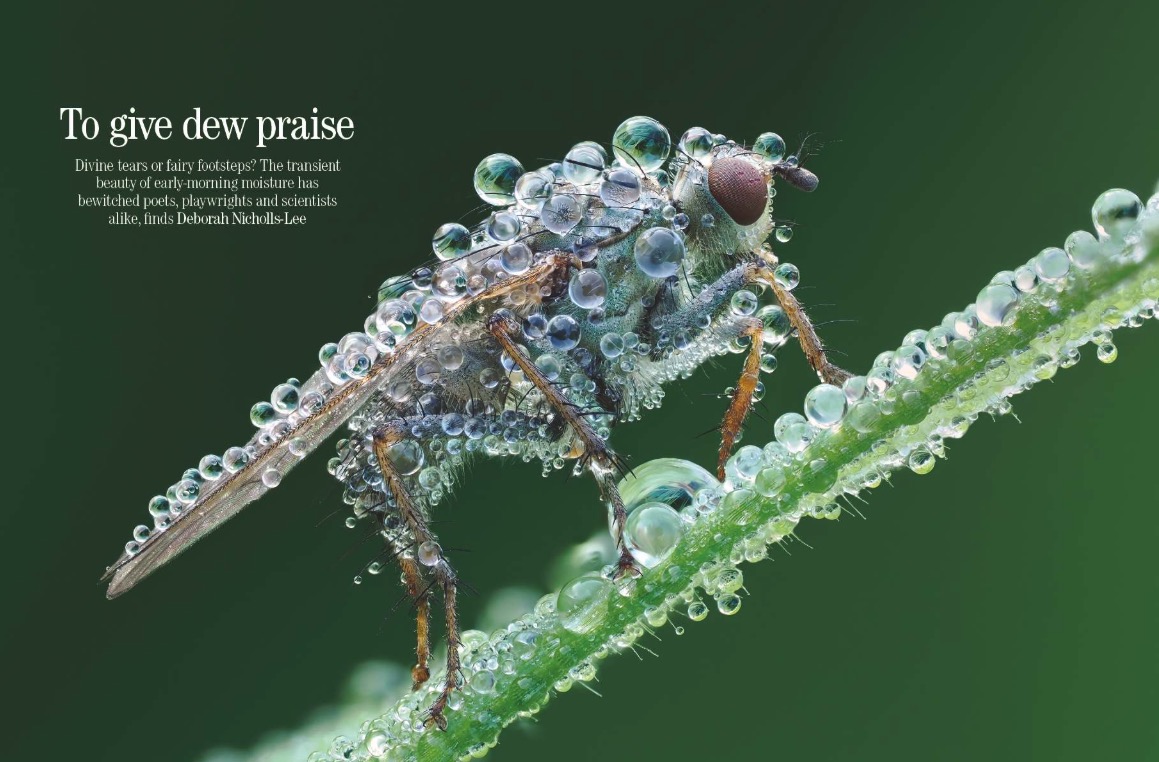 Magazine spreads from Country Life 22 April 2026