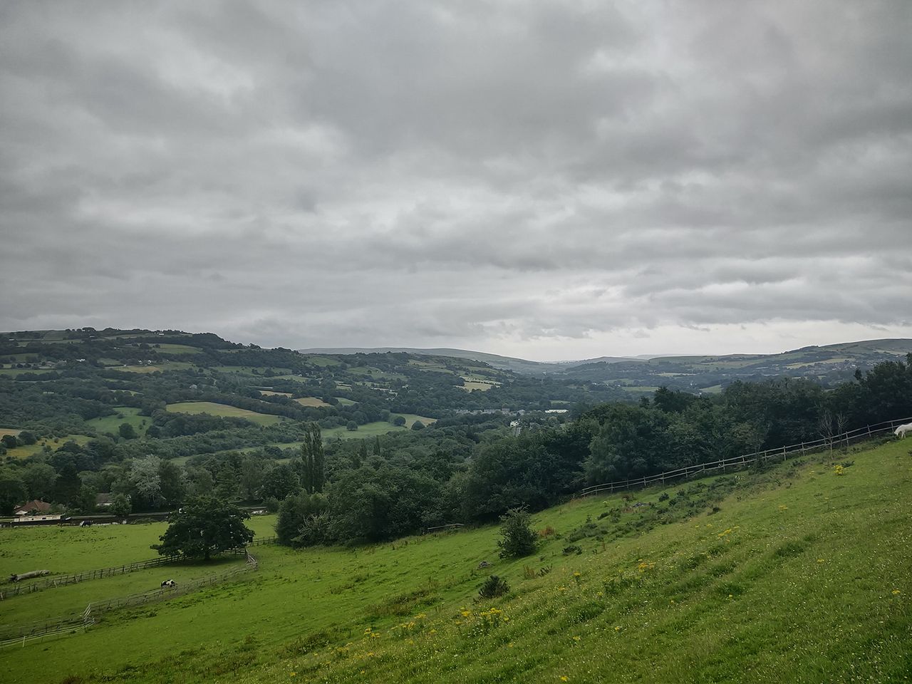 Moto G 5G Plus camera sample