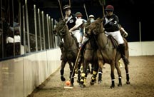 Gaucho_polo.jpg