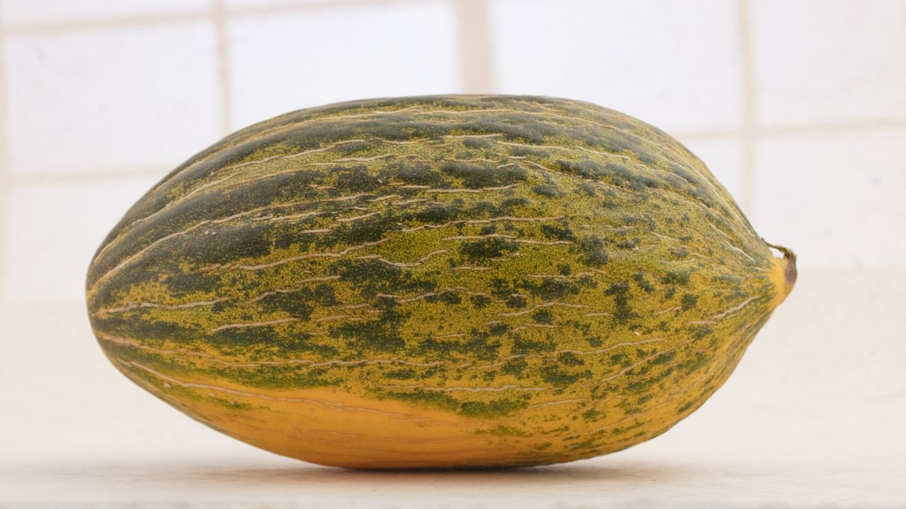 green and yellow melon with white background