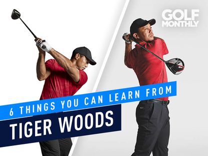 Things You Can Learn From Tiger Woods