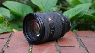 Sony FE 28-70mm f/2 GM lens on a brick wall in front of green plants