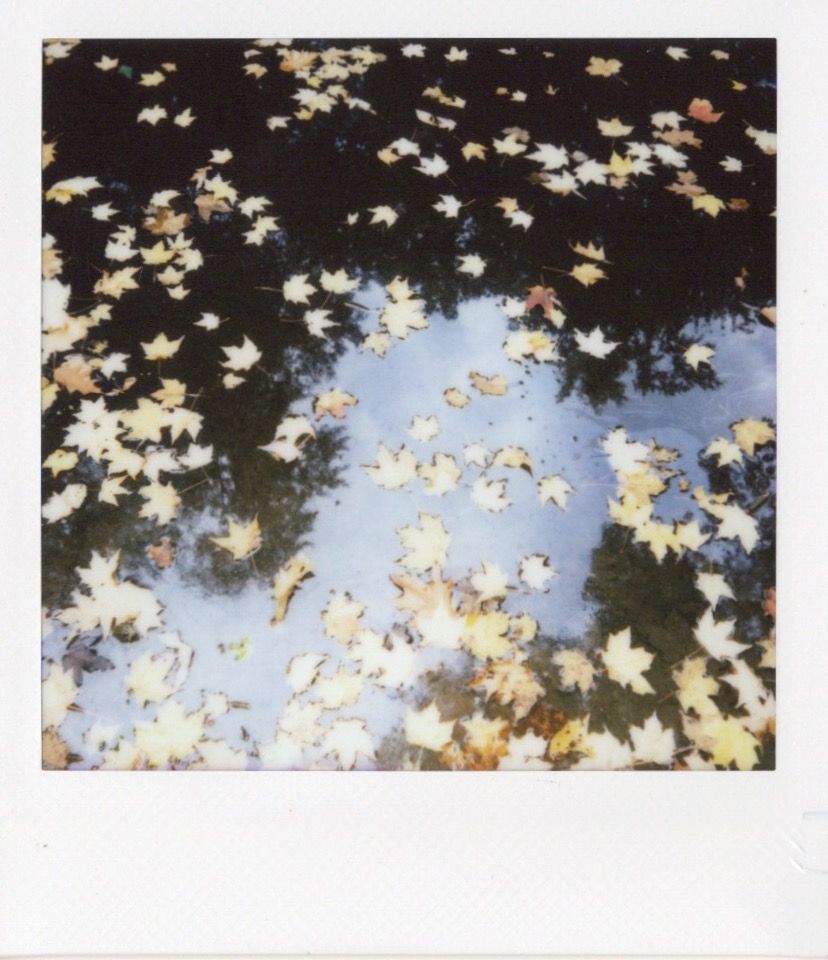 Image samples from the Fujifilm Instax Square 2