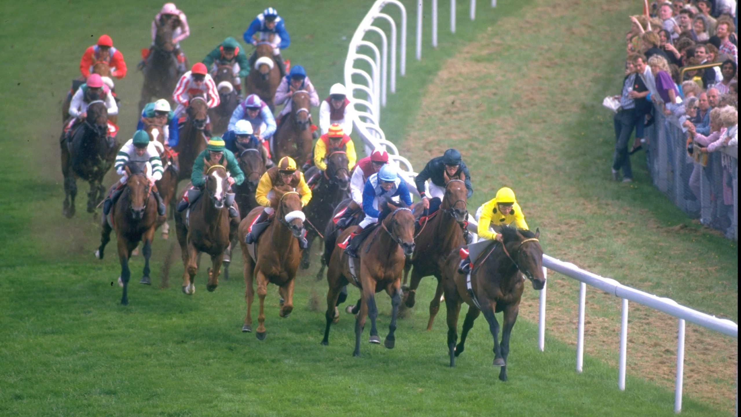 Jun 1987: Steve Cauthen (right) of the USA on Referencre Point leads the field in the Ever Ready Derby at Epsom racecourse in Epsom, England. Reference Point won the race. Mandatory Credit: David Cannon/Allsport