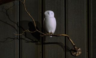 A porcelain owl perches on a bronze fixture.