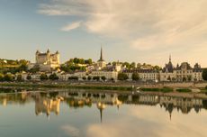 Loire 2018 Vintage Preview