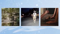 Composite of Zach Bryan, Orville Peck, Charlie XCX album covers